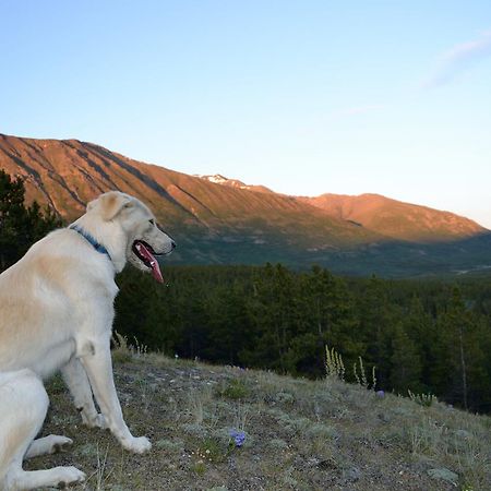 Spirit Lake Lodge Whitehorse Esterno foto