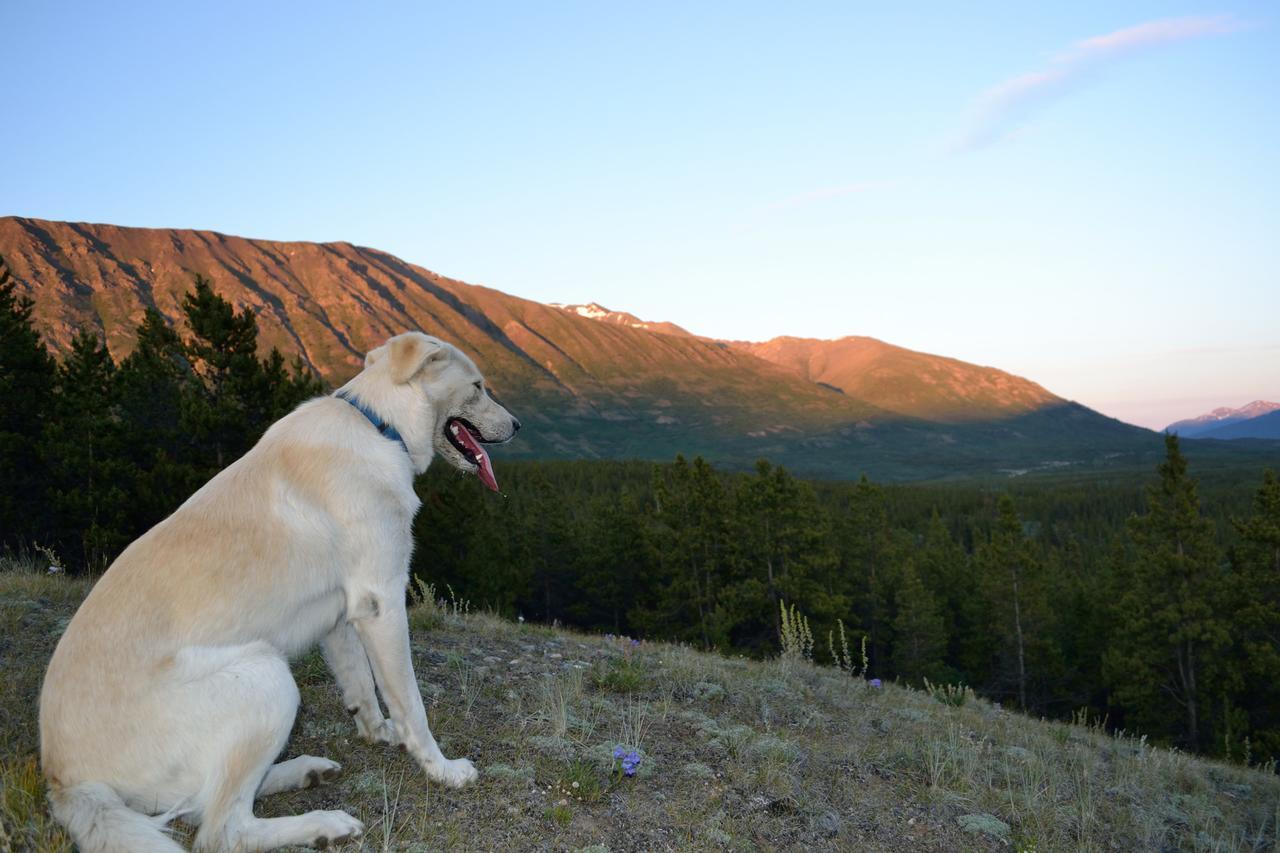 Spirit Lake Lodge Whitehorse Esterno foto